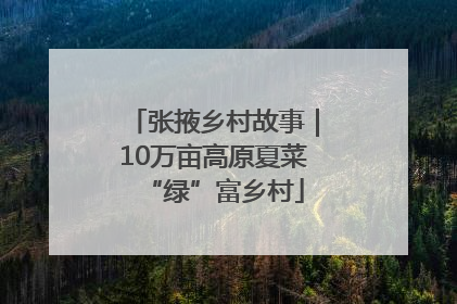 张掖乡村故事｜10万亩高原夏菜“绿”富乡村