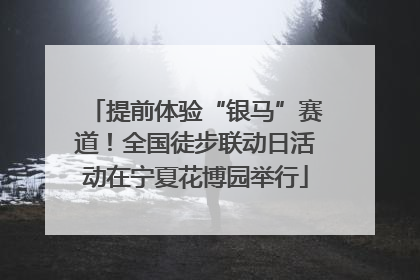 提前体验“银马”赛道！全国徒步联动日活动在宁夏花博园举行