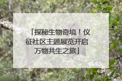 探秘生物奇境！仪征社区主题展览开启万物共生之旅