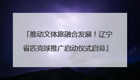 推动文体旅融合发展！辽宁省匹克球推广启动仪式启幕