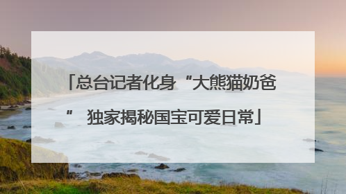 总台记者化身“大熊猫奶爸” 独家揭秘国宝可爱日常