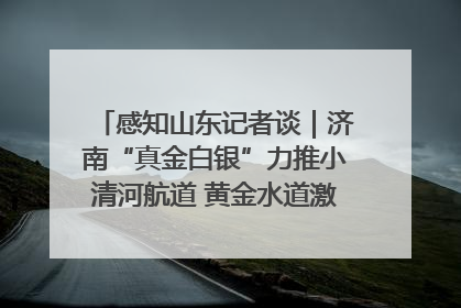 感知山东记者谈｜济南“真金白银”力推小清河航道 黄金水道激活区域经济新动能