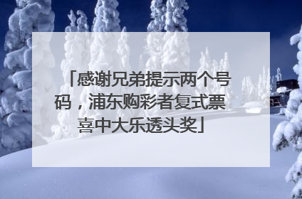 感谢兄弟提示两个号码，浦东购彩者复式票喜中大乐透头奖