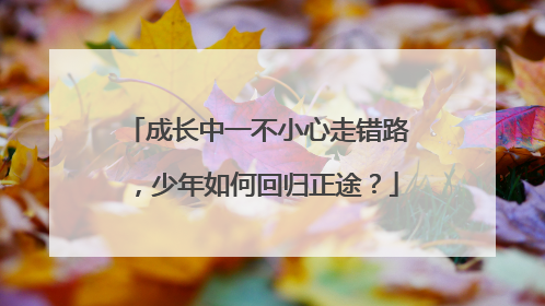 成长中一不小心走错路，少年如何回归正途？