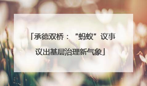 承德双桥：“蚂蚁”议事 议出基层治理新气象