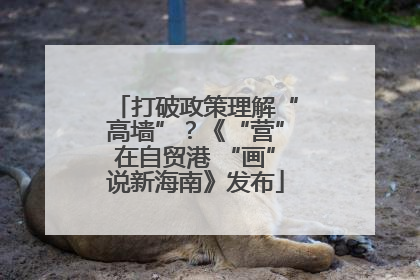 打破政策理解“高墙”？《“营”在自贸港 “画”说新海南》发布