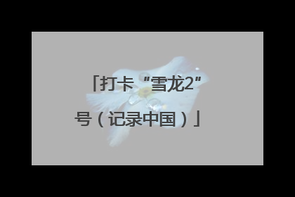 打卡“雪龙2”号（记录中国）