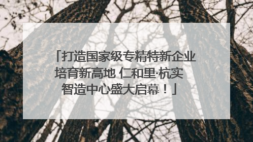 打造国家级专精特新企业培育新高地 仁和里·杭实智造中心盛大启幕！