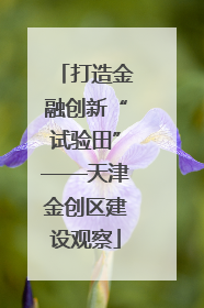 打造金融创新“试验田”——天津金创区建设观察