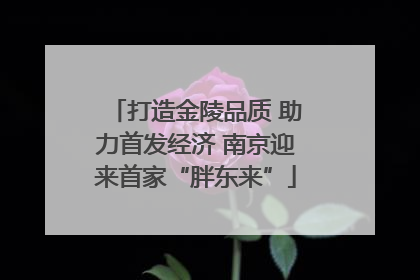 打造金陵品质 助力首发经济 南京迎来首家“胖东来”