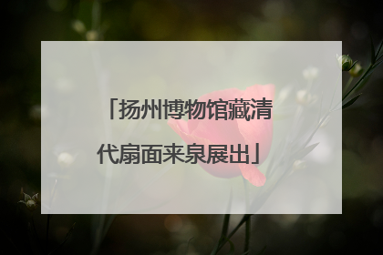 扬州博物馆藏清代扇面来泉展出