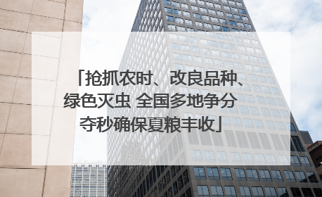 抢抓农时、改良品种、绿色灭虫 全国多地争分夺秒确保夏粮丰收