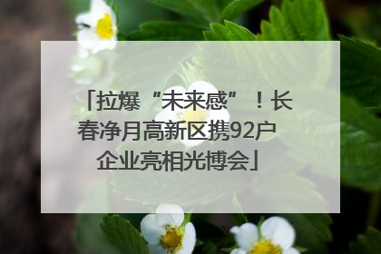 拉爆“未来感”！长春净月高新区携92户企业亮相光博会