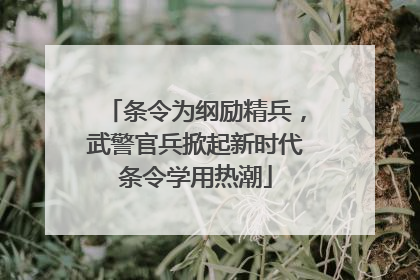条令为纲励精兵，武警官兵掀起新时代条令学用热潮
