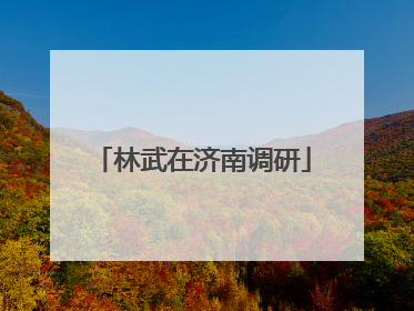 林武在济南调研