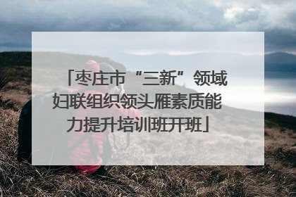 枣庄市“三新”领域妇联组织领头雁素质能力提升培训班开班