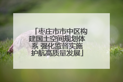 枣庄市市中区构建国土空间规划体系 强化监督实施护航高质量发展