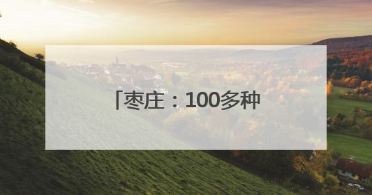 枣庄：100多种石榴产品，靠什么“七十二变”？