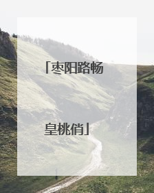 枣阳路畅皇桃俏