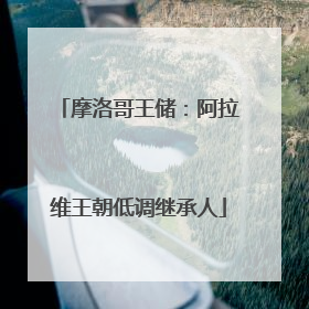 摩洛哥王储：阿拉维王朝低调继承人
