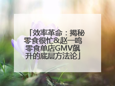 效率革命：揭秘零食很忙&赵一鸣零食单店GMV飙升的底层方法论