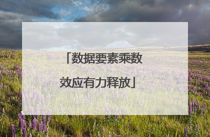 数据要素乘数效应有力释放