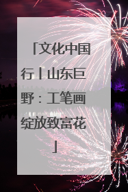 文化中国行丨山东巨野：工笔画绽放致富花