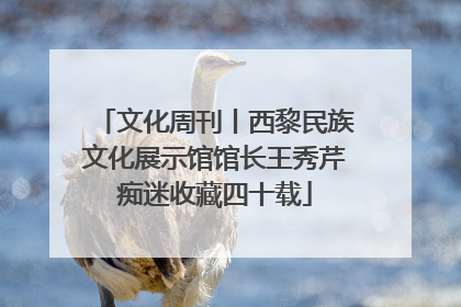文化周刊丨西黎民族文化展示馆馆长王秀芹痴迷收藏四十载