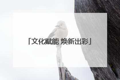 文化赋能 焕新出彩