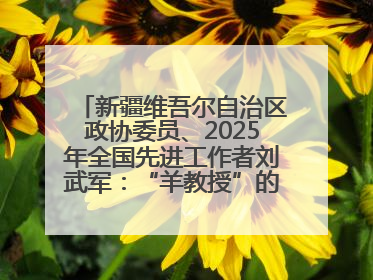 新疆维吾尔自治区政协委员、2025年全国先进工作者刘武军：“羊教授”的“中国芯”