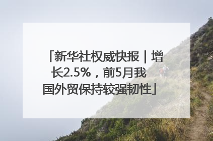 新华社权威快报｜增长2.5%，前5月我国外贸保持较强韧性