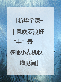 新华全媒+｜风吹麦浪好“丰”景——多地小麦机收一线见闻