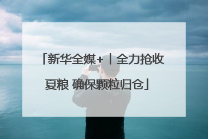 新华全媒+丨全力抢收夏粮 确保颗粒归仓