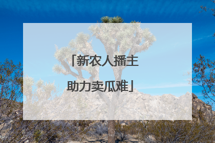新农人播主 助力卖瓜难