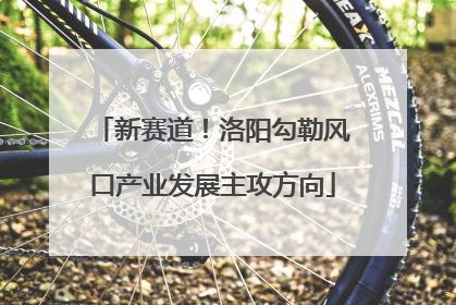 新赛道！洛阳勾勒风口产业发展主攻方向