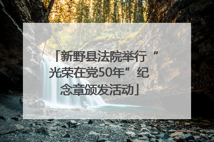 新野县法院举行“光荣在党50年”纪念章颁发活动