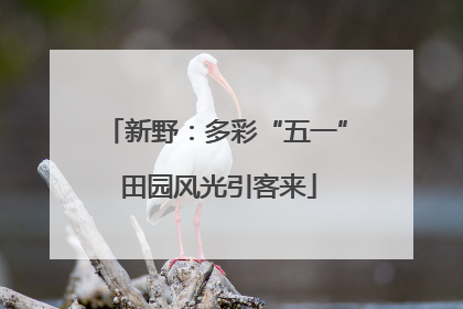 新野：多彩“五一” 田园风光引客来