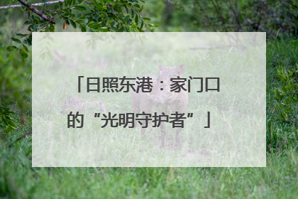 日照东港：家门口的“光明守护者”