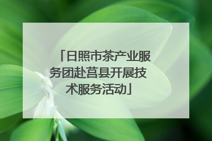 日照市茶产业服务团赴莒县开展技术服务活动
