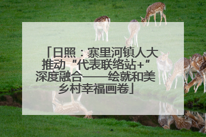 日照：寨里河镇人大推动“代表联络站+”深度融合——绘就和美乡村幸福画卷