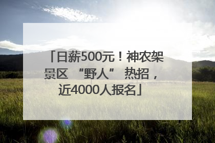 日薪500元！神农架景区 “野人” 热招，近4000人报名