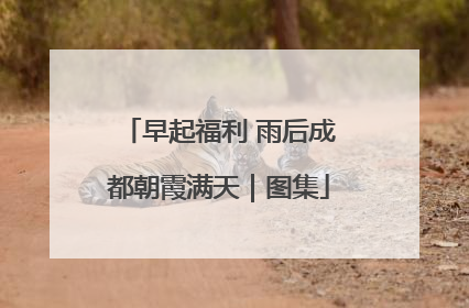 早起福利 雨后成都朝霞满天｜图集
