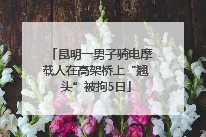 昆明一男子骑电摩载人在高架桥上“翘头”被拘5日