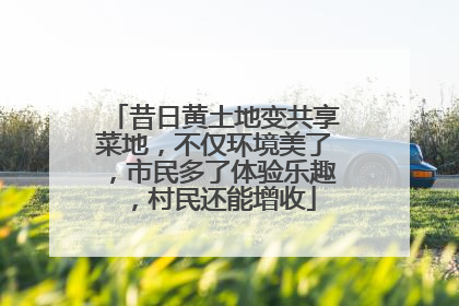 昔日黄土地变共享菜地，不仅环境美了，市民多了体验乐趣，村民还能增收