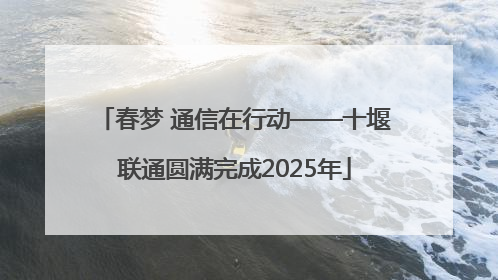 春梦 通信在行动——十堰联通圆满完成2025年