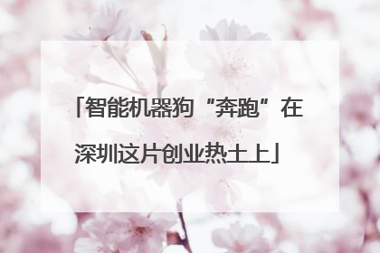 智能机器狗“奔跑”在深圳这片创业热土上