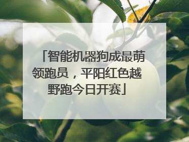 智能机器狗成最萌领跑员，平阳红色越野跑今日开赛