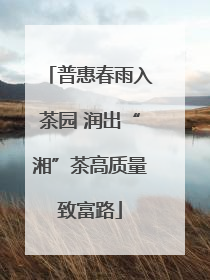 普惠春雨入茶园 润出“湘”茶高质量致富路