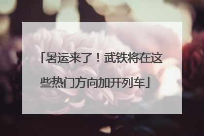 暑运来了！武铁将在这些热门方向加开列车