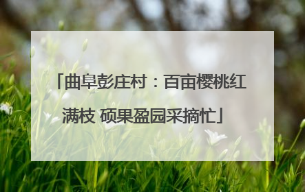 曲阜彭庄村：百亩樱桃红满枝 硕果盈园采摘忙